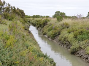 Le petit canal