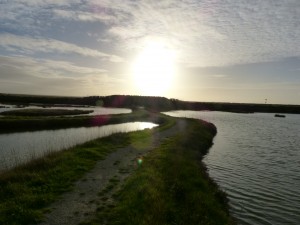 68 58 Le chemin de l'observatoire