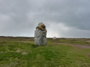 81.3 01 Un menhir