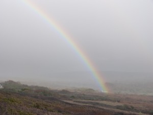 81.3 07 Un arc en ciel