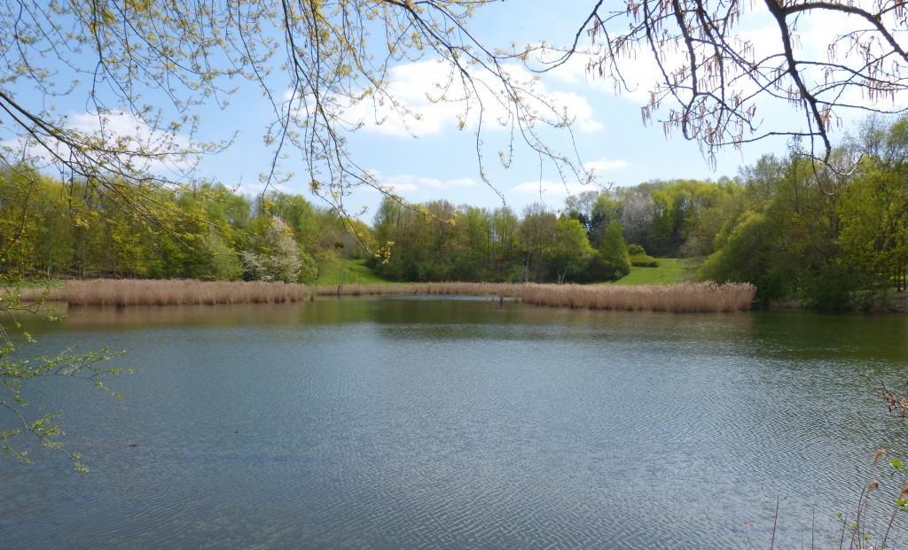 88.2 37 L'Etang des Brouillards