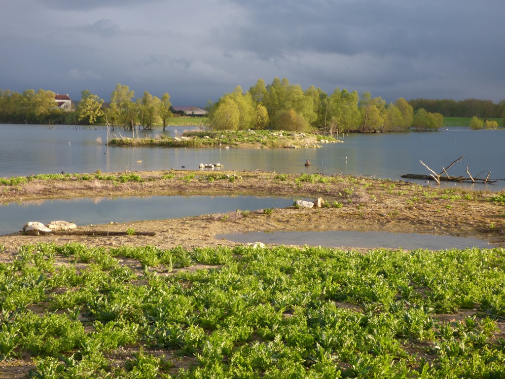 91-01-un-beau-paysage