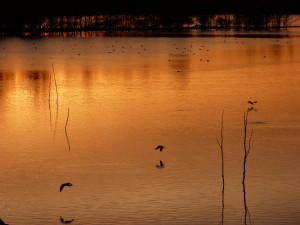 94-2-78-le-coucher-de-soleil