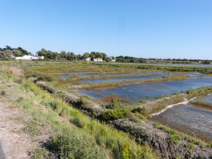 107-4 01 Marais salants