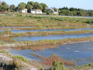 107-4 02 Marais salants