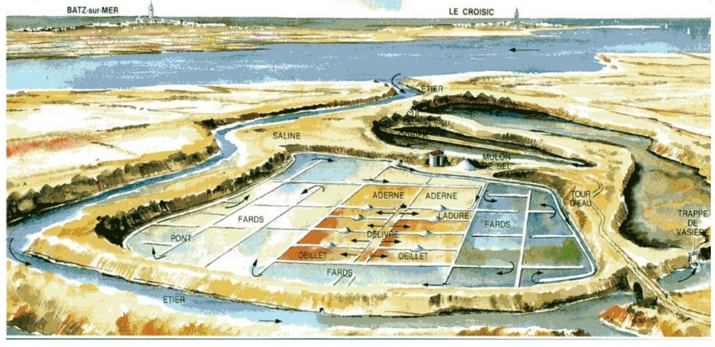 107-4 06 Schema Marais salants