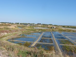 107-4 07 Marais salants